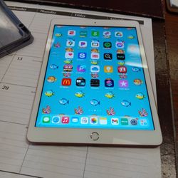 Apple I Pad