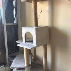 Cat Tower 