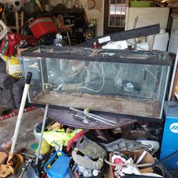  Tank Aquarium 