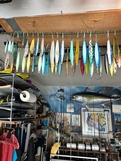 Jigs/lures