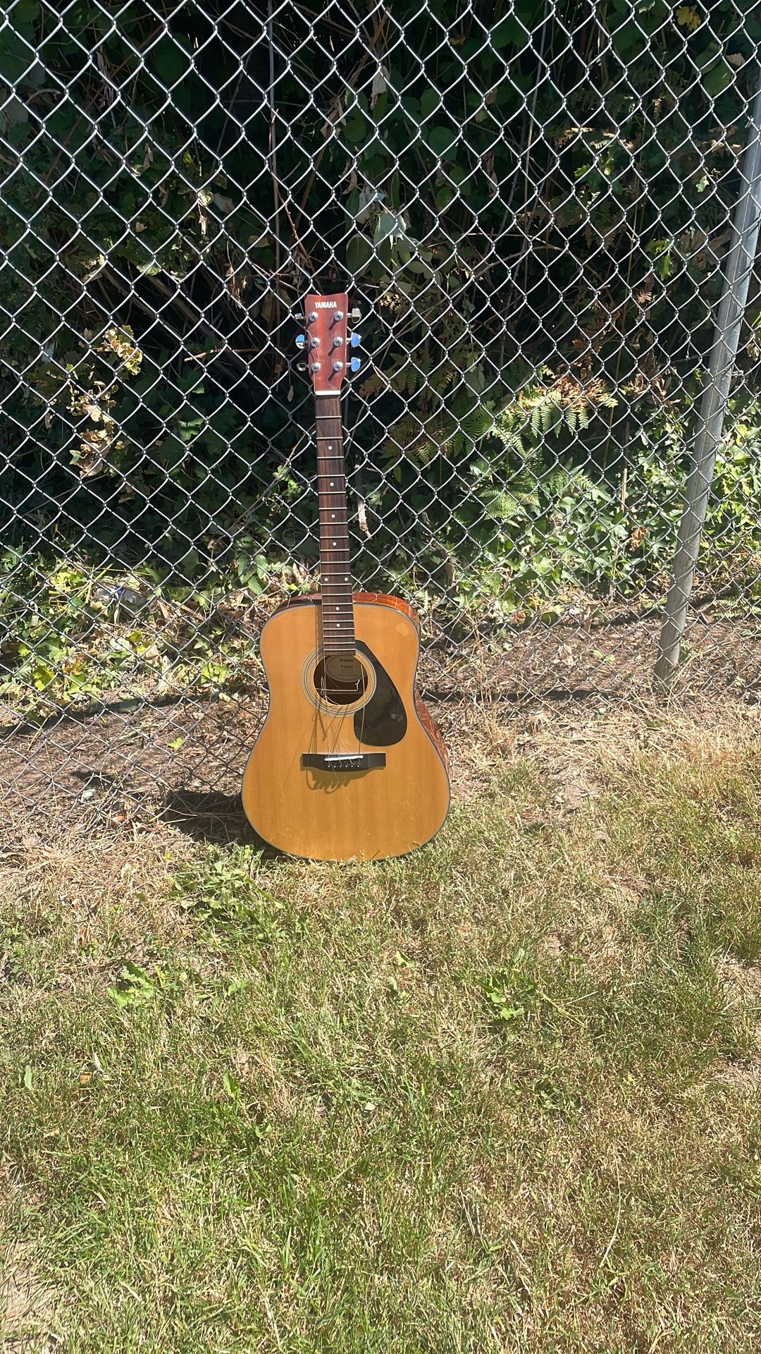 Yamaha Acoustic Guitar