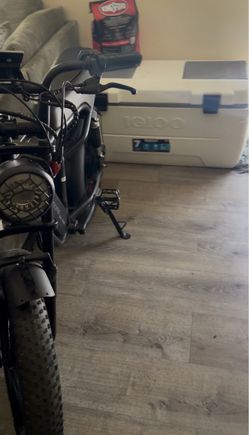 E bike
