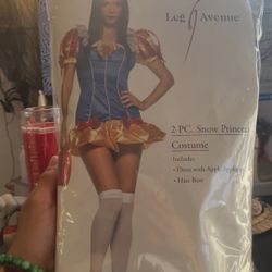 Sexy Snow White Women’s Halloween Costume 