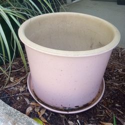 One Huge Pot Thick Plastic, Other Medium Sized And Glass