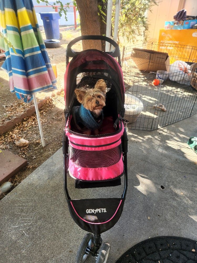 Dog Stroller