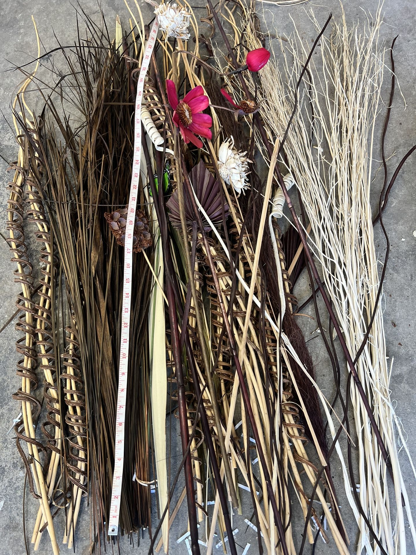 Dried plants, Sticks And Branches