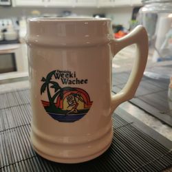 RARE VINTAGE WEEKI WACHEE STEIN