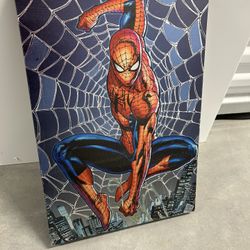 Spider Man Canvas