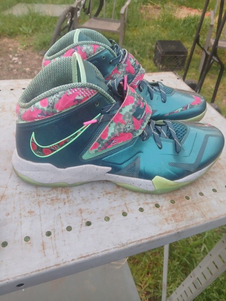 LeBron James Nike