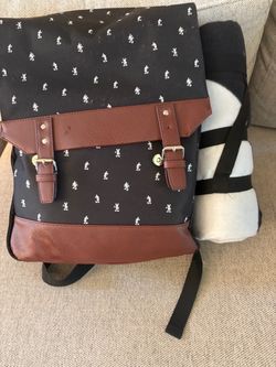 Mickey picnic backpack