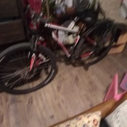 29 Specialized Mtn Bike
