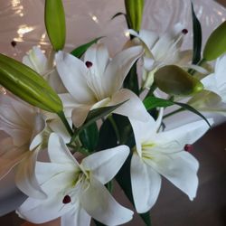 Silk Lilies, New