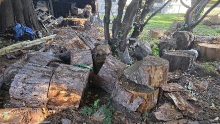 free wood