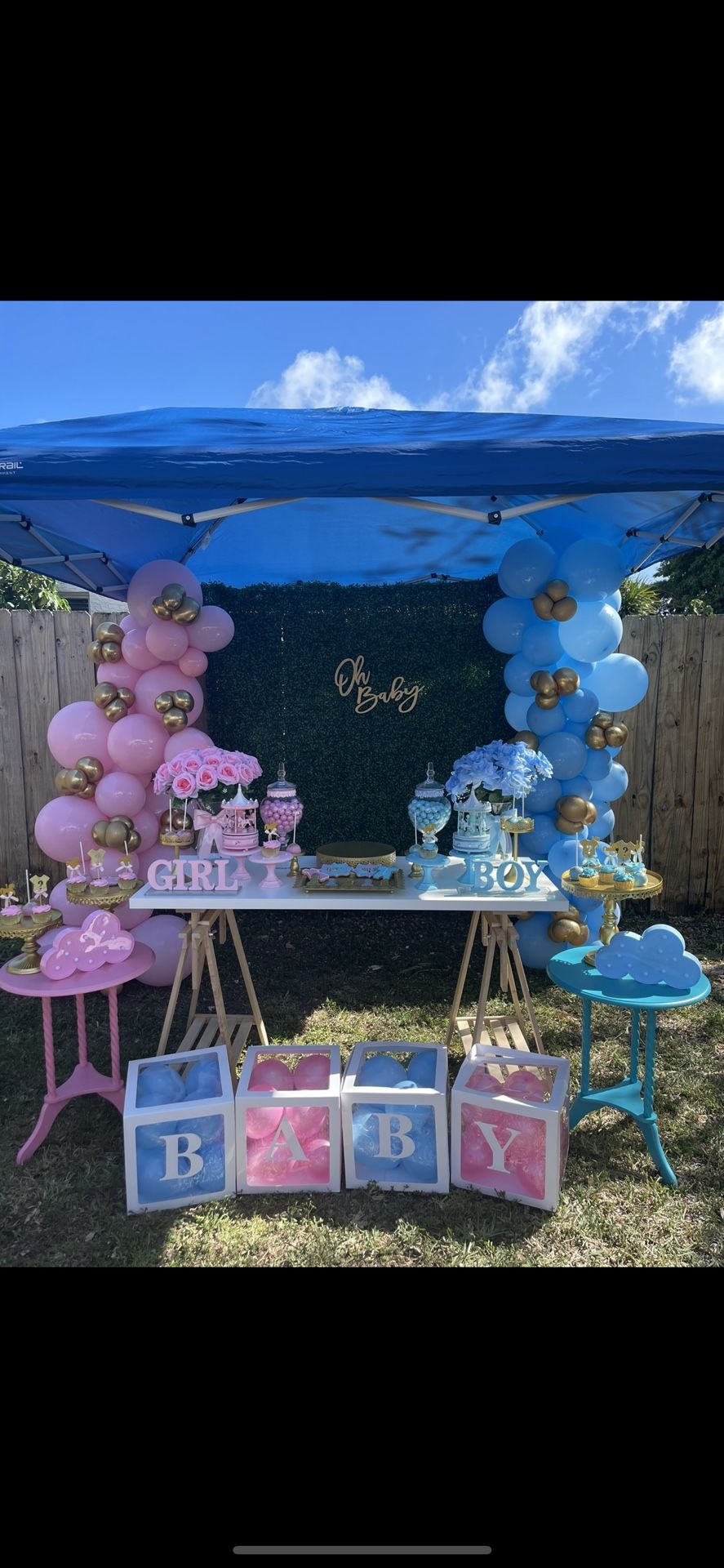Decoration party ,birthday party  ,Gender Reveal, Baby Shower