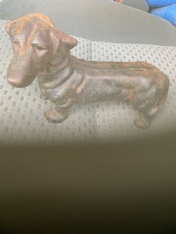 Dachshund