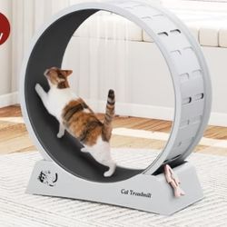 Cat Wheel