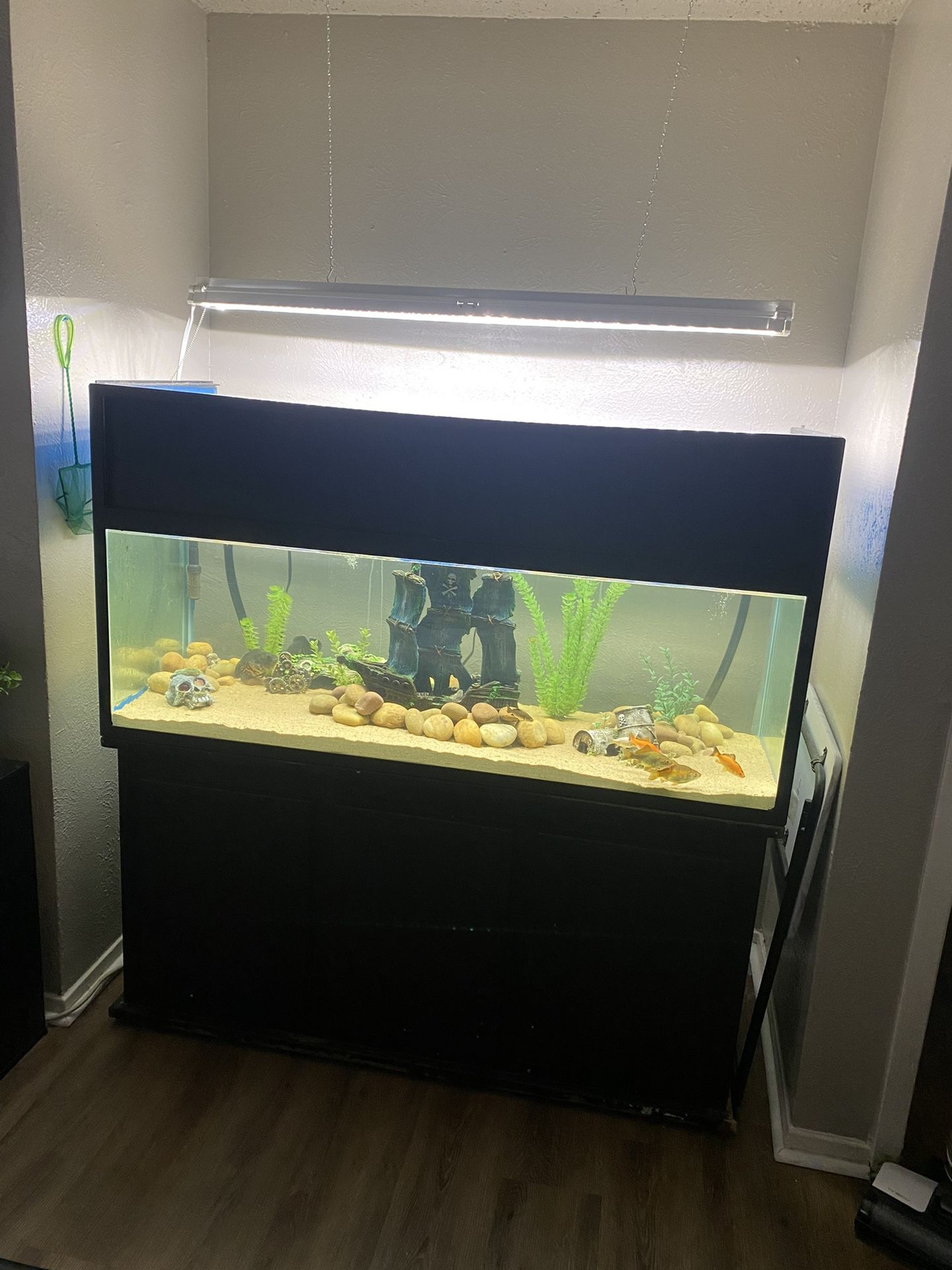 75 Gallon Fish Tank Everything Included!