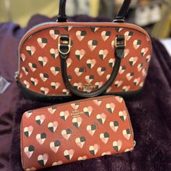 Original Valentine Coach Satchel & Wallet