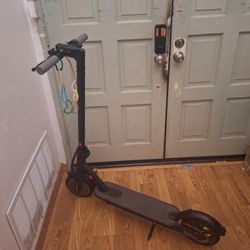 Electric Scooter 