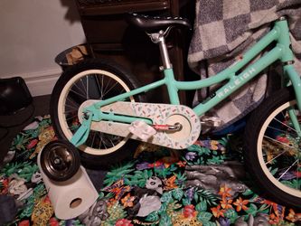 Kids Raleigh bike& Training wheels included