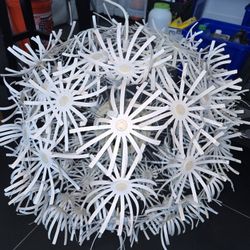 Ikea Dandelion Lamp