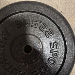 Sports Authority 22.5Kg Plate