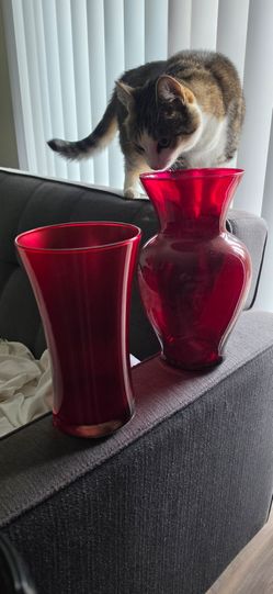 Ruby vases x2
