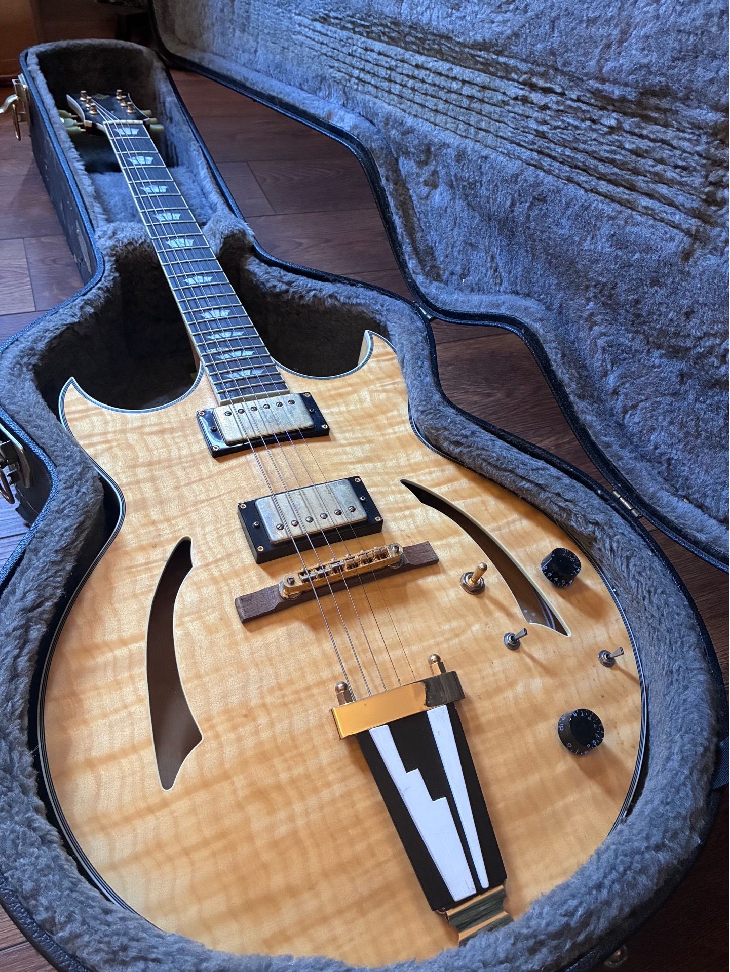 Electric Guitar