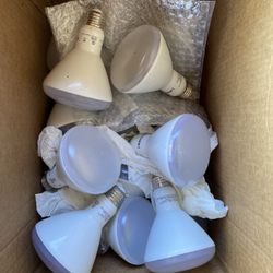 LED Flood Light Bulbs