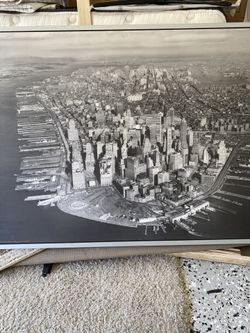 Large Framed Picture