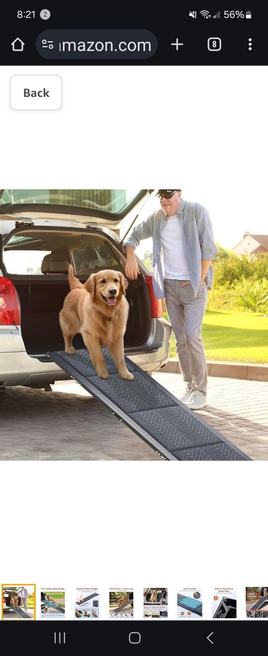 DOG RAMP