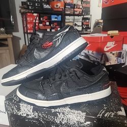 Nike Sb Dunk Low Wasted Youth Special Box Pair