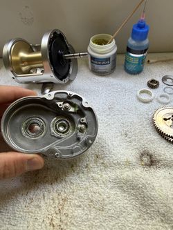 Shimano talica reels service and cleaning