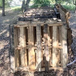 $100  Wood pallet for sale