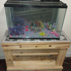 Fish Tank And Handmade Stand