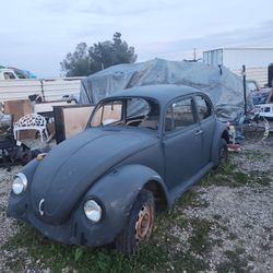 Volkswagen  Buggy 1969