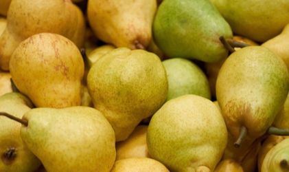 Apples and Pears