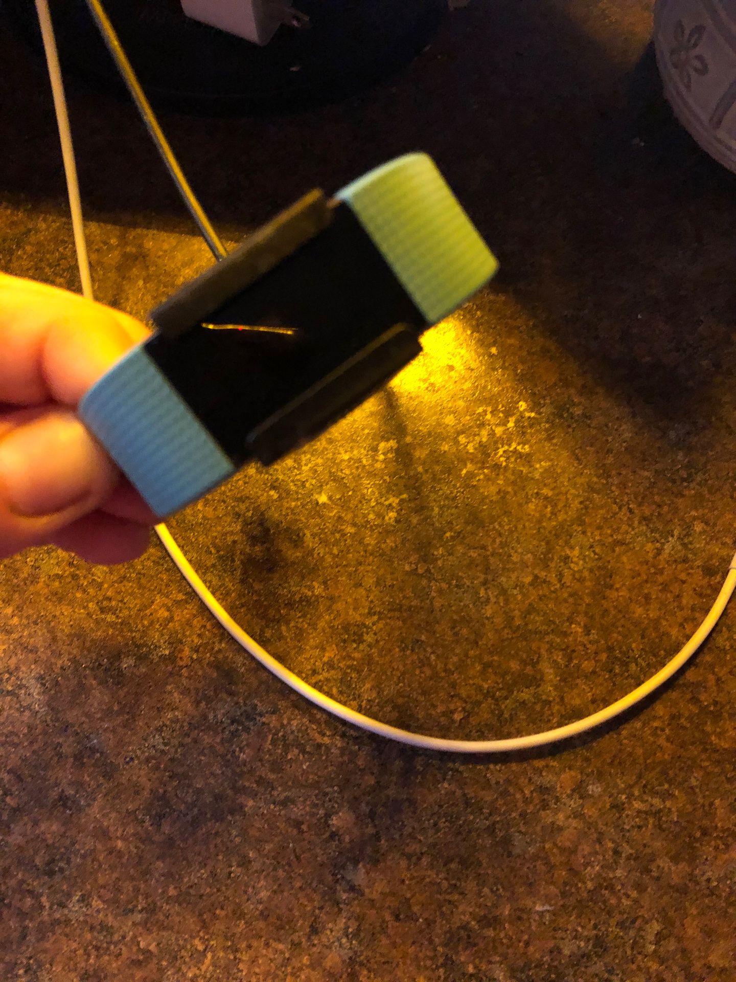 Fitbit