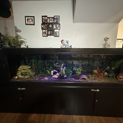 Fish tank