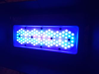 Radion XR30 G6 blue reef light.