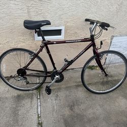 18” Giant Iguana Mountain Bike / Current Touring Geo