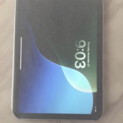 iPad Mini 256Gb