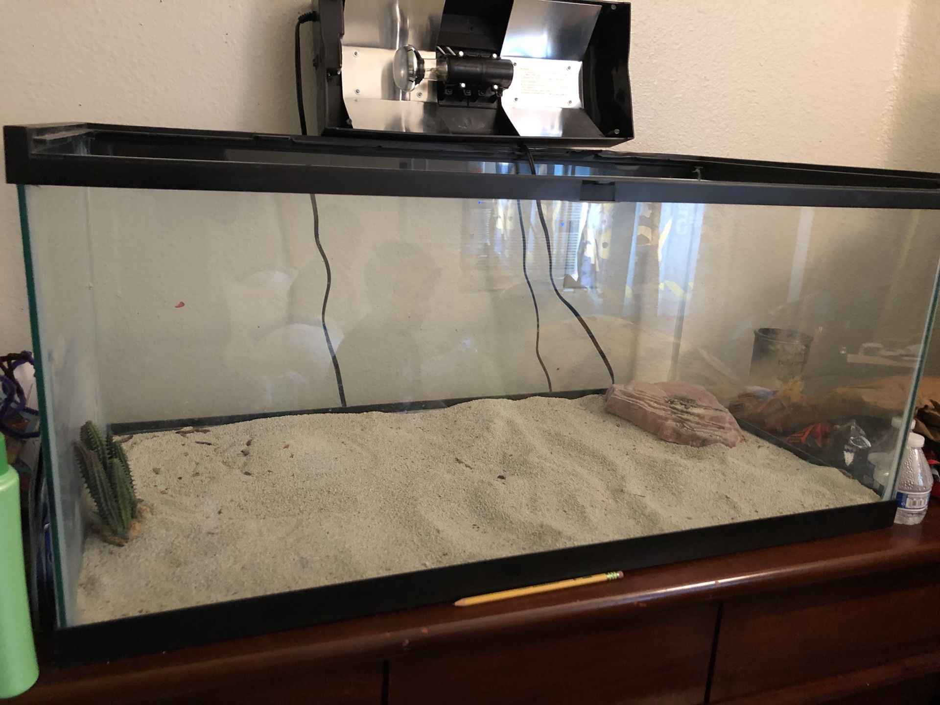 40 gallon glass terrarium