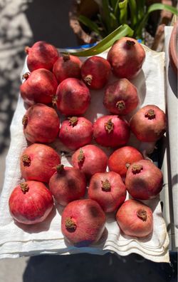 Pomegranates