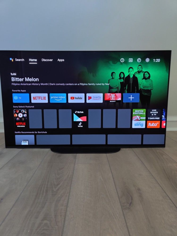 SONY Master OLED XBR48A9S 48" for Sale in Wantagh, NY OfferUp