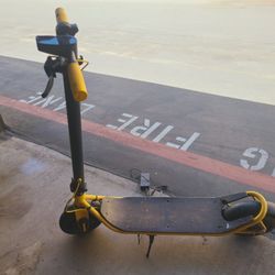 Scooter Electric 