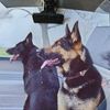 ROXXY & KNOX 