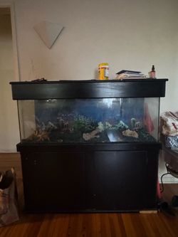 Fish Tank