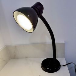 Black metal gooseneck desk lamp. 