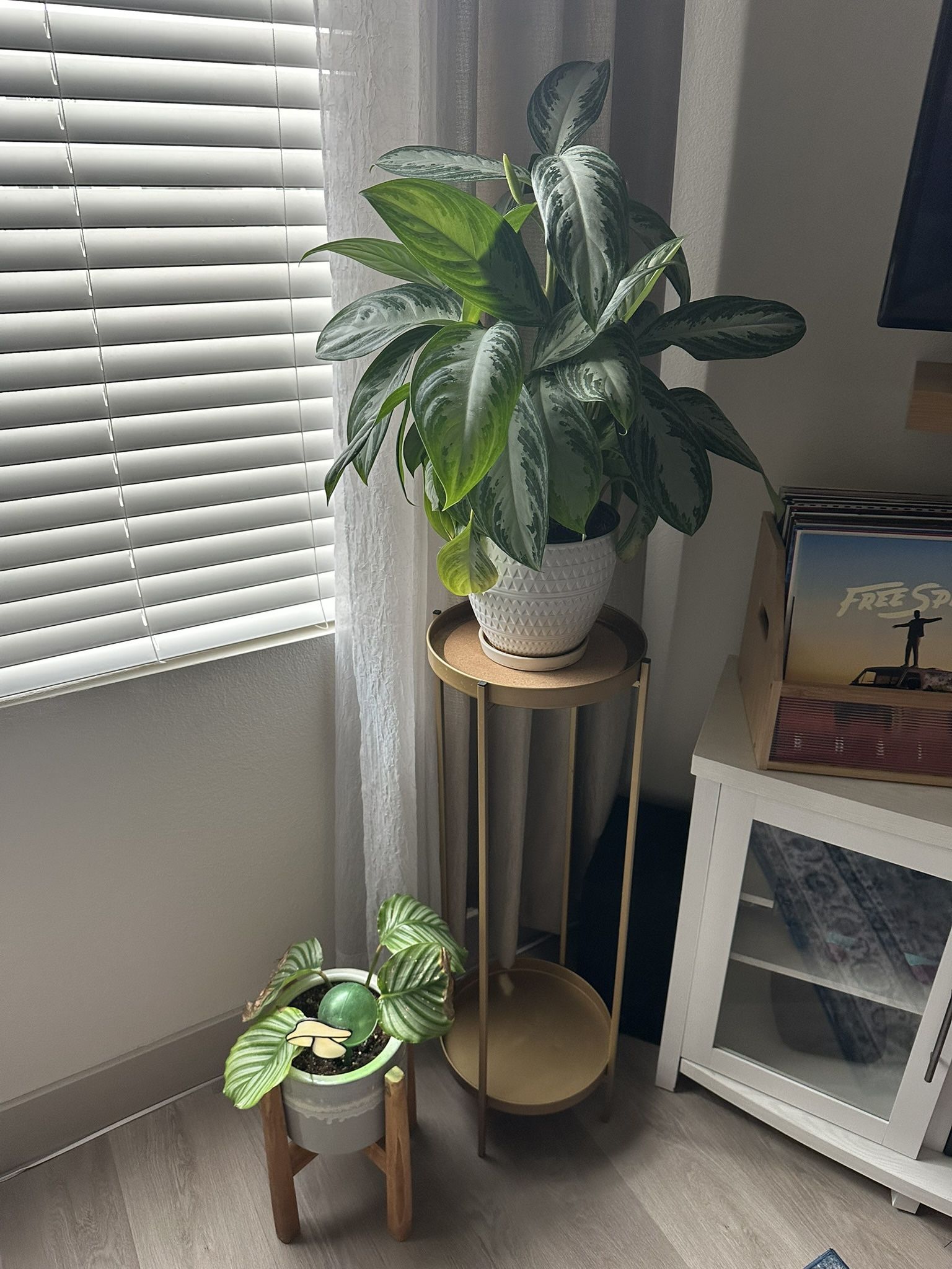 Plant stand